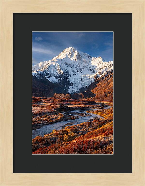 Denali Rising Above Tundra