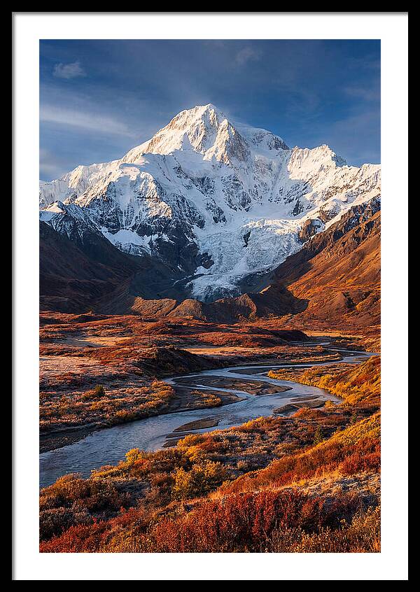 Denali Rising Above Tundra