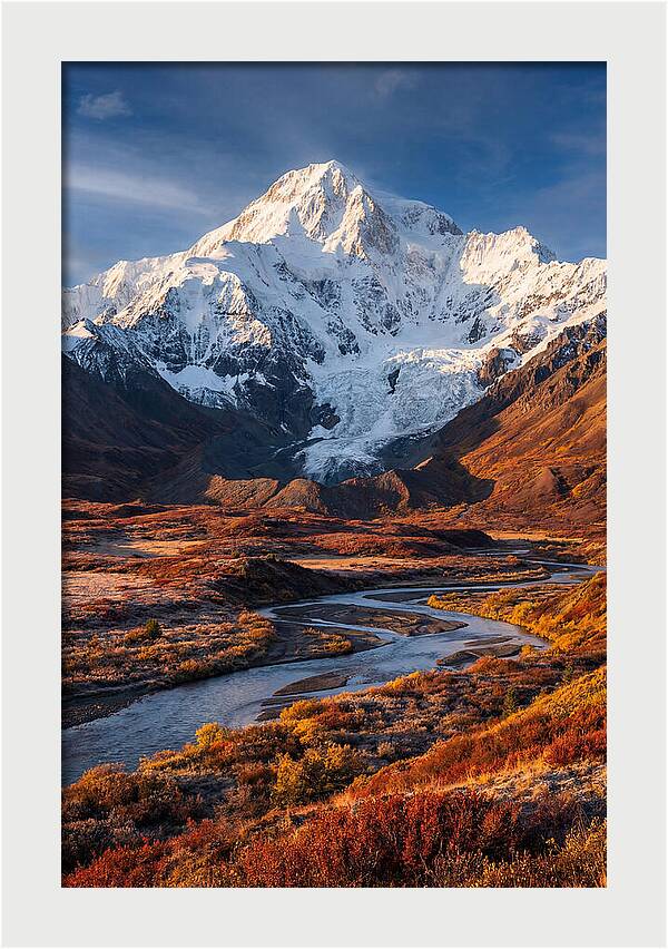 Denali Rising Above Tundra