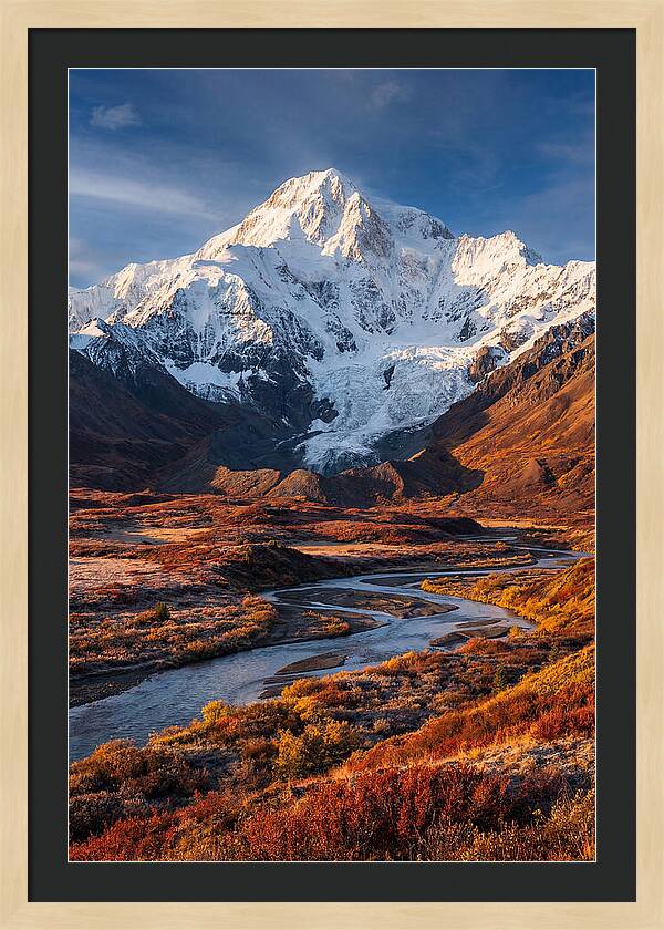 Denali Rising Above Tundra