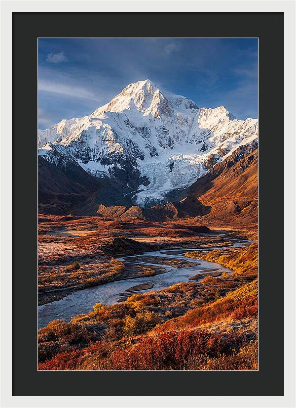 Denali Rising Above Tundra