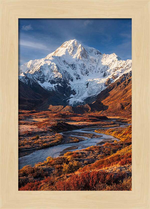 Denali Rising Above Tundra