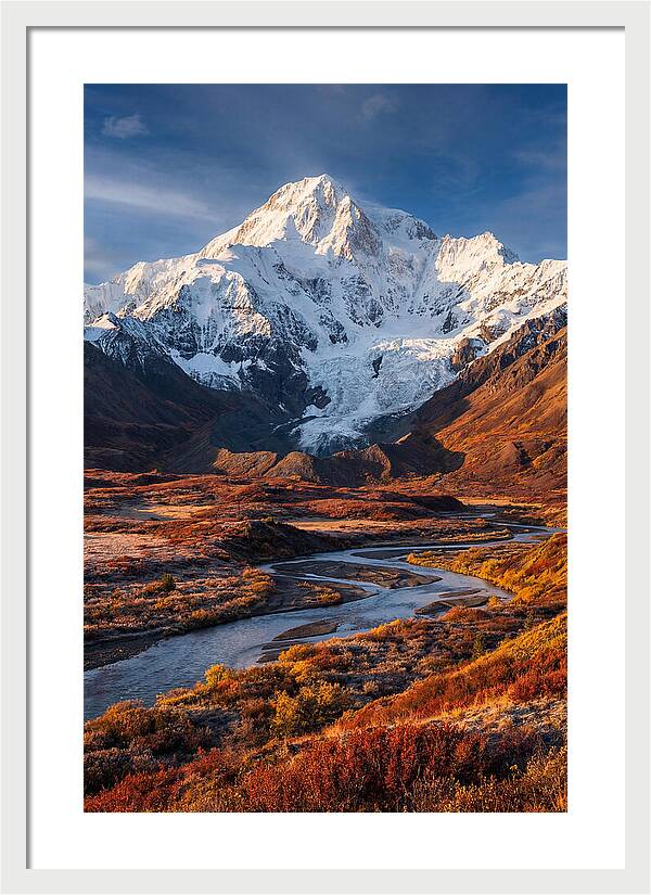Denali Rising Above Tundra