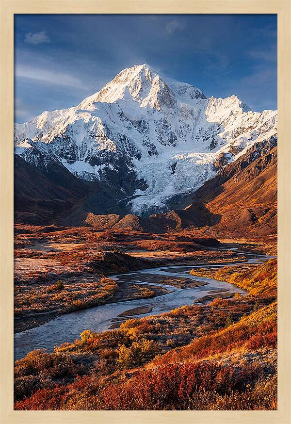 Denali Rising Above Tundra