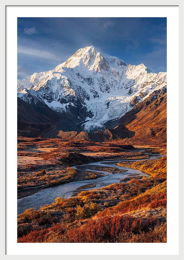 Denali Rising Above Tundra