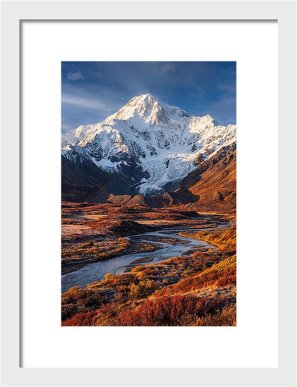 Denali Rising Above Tundra