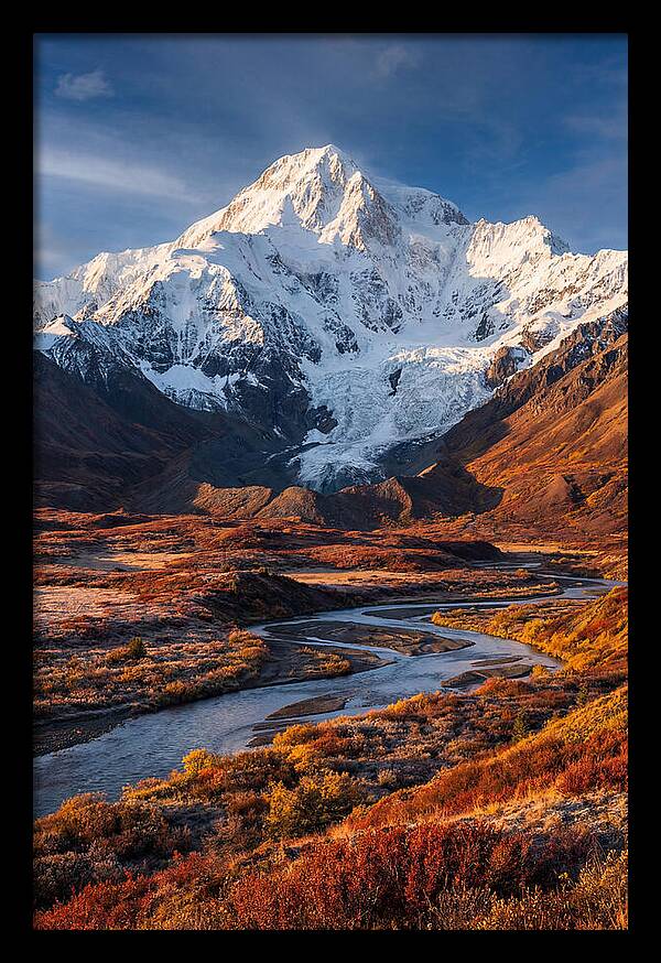 Denali Rising Above Tundra
