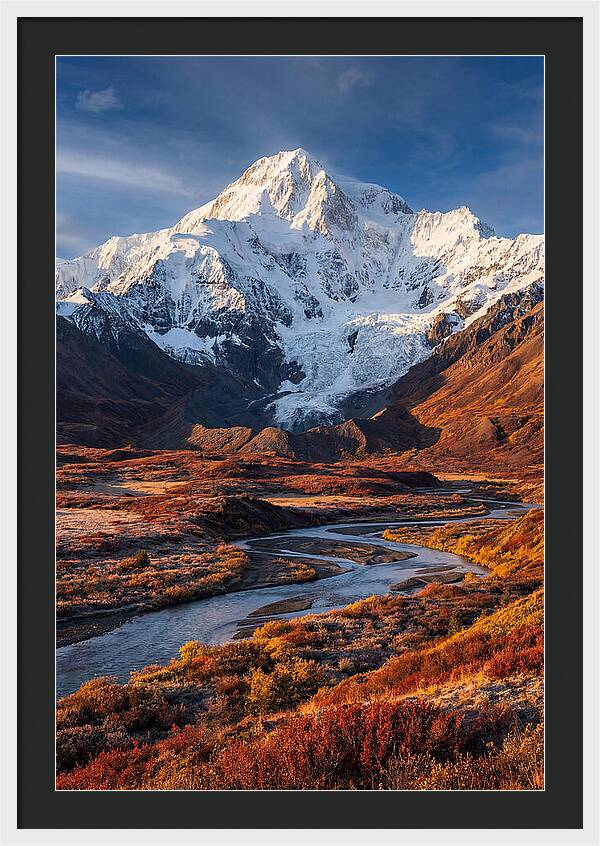 Denali Rising Above Tundra