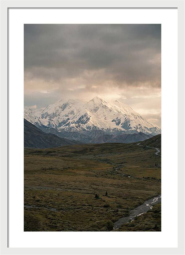 Denali Rising Above Tundra