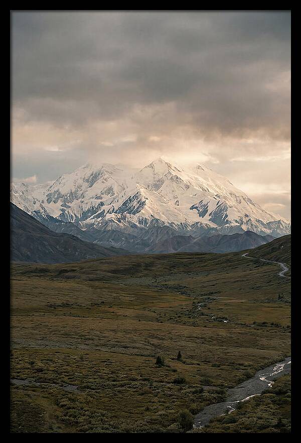 Denali Rising Above Tundra