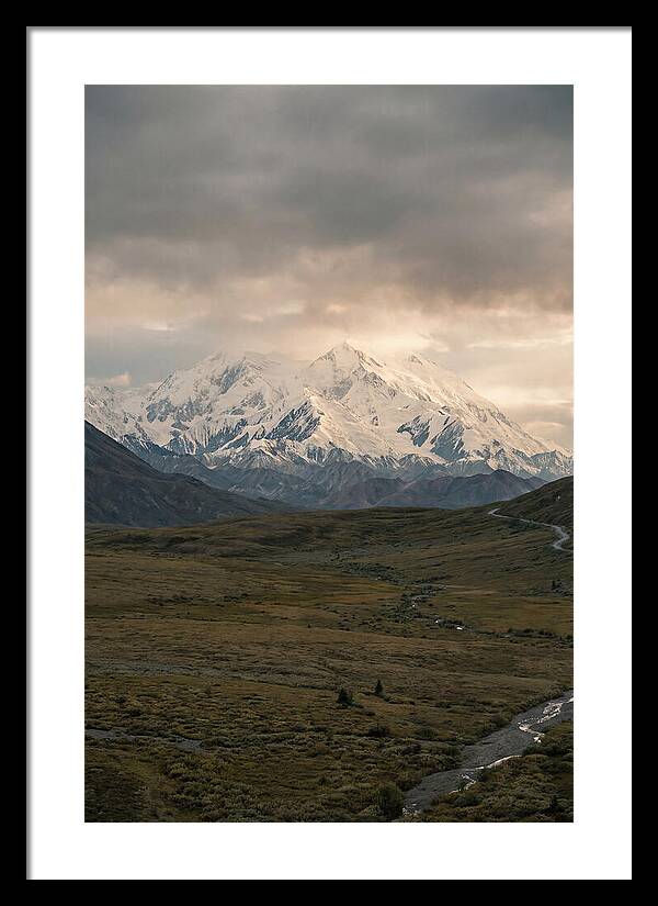 Denali Rising Above Tundra
