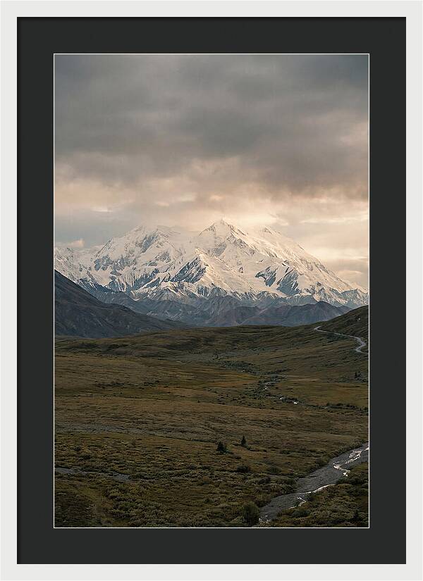 Denali Rising Above Tundra