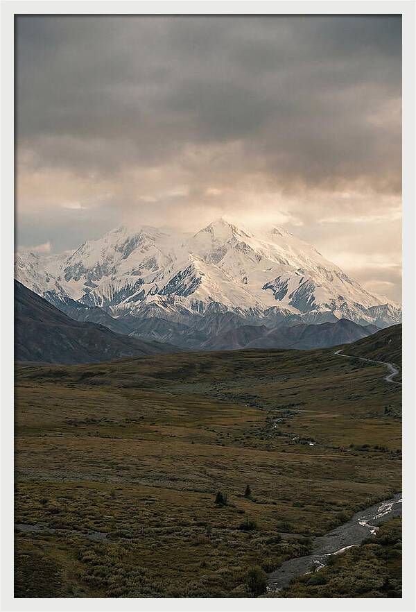 Denali Rising Above Tundra