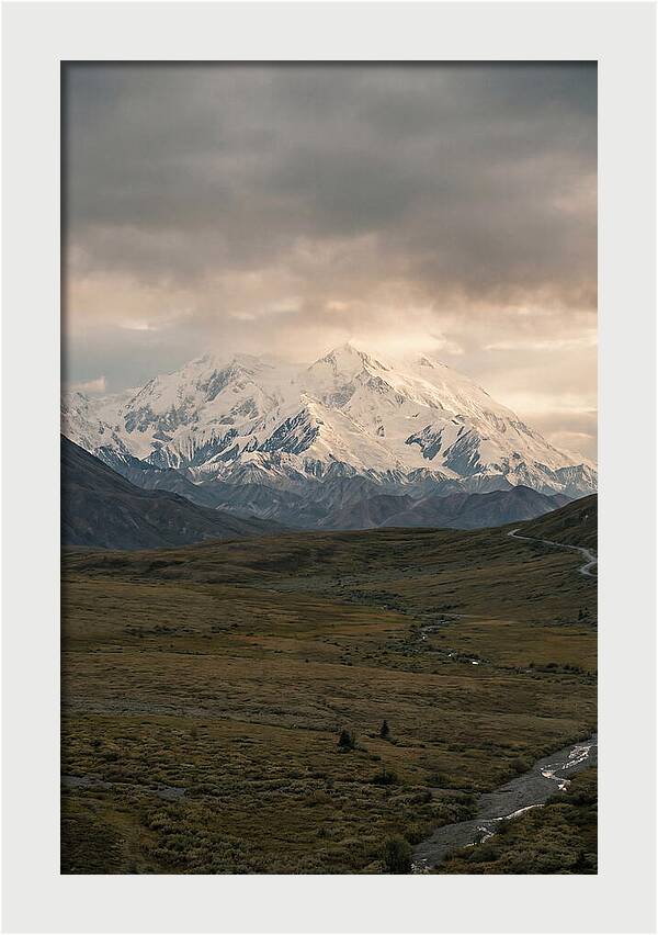 Denali Rising Above Tundra
