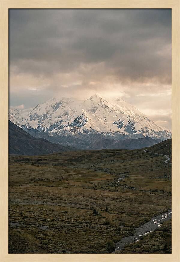 Denali Rising Above Tundra