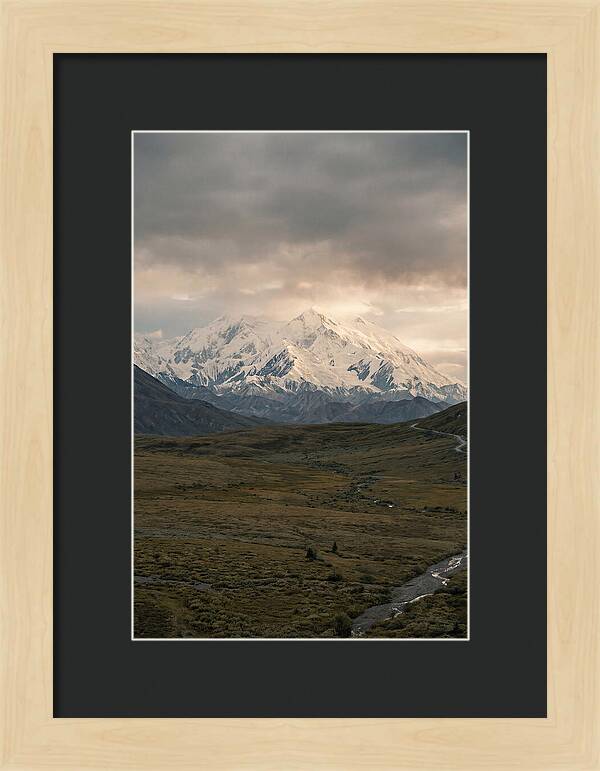 Denali Rising Above Tundra