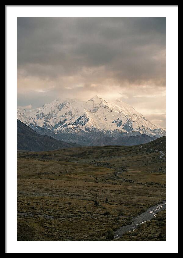 Denali Rising Above Tundra