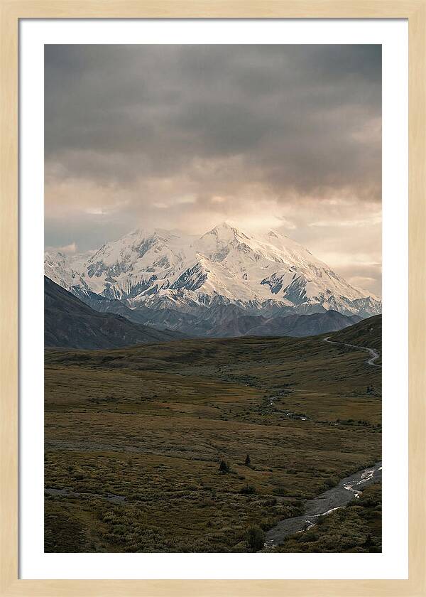 Denali Rising Above Tundra