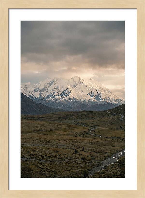 Denali Rising Above Tundra