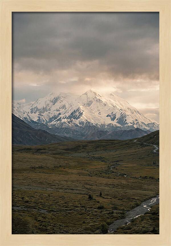 Denali Rising Above Tundra