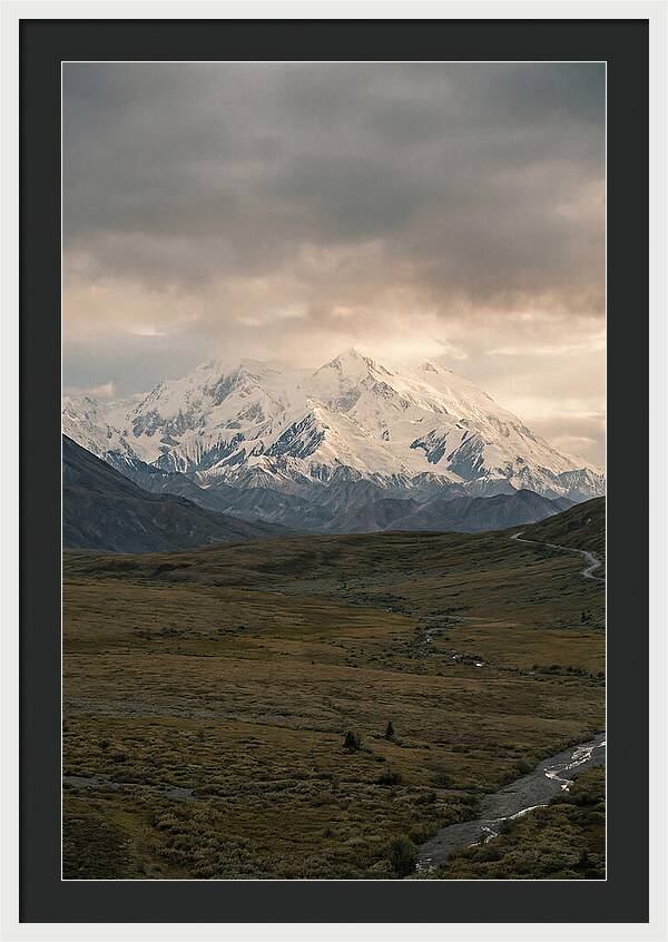 Denali Rising Above Tundra