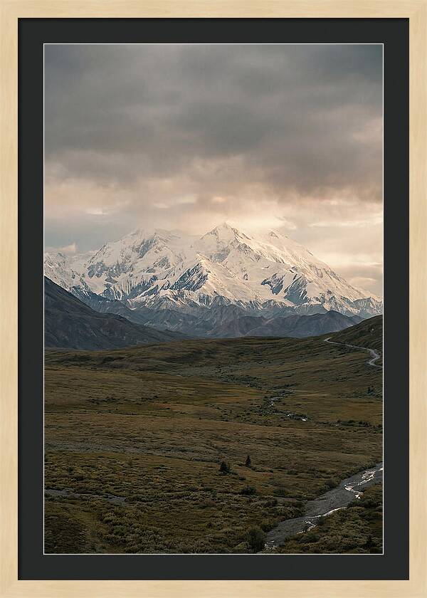 Denali Rising Above Tundra