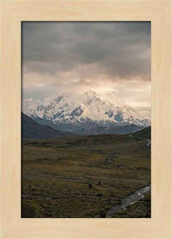 Denali Rising Above Tundra