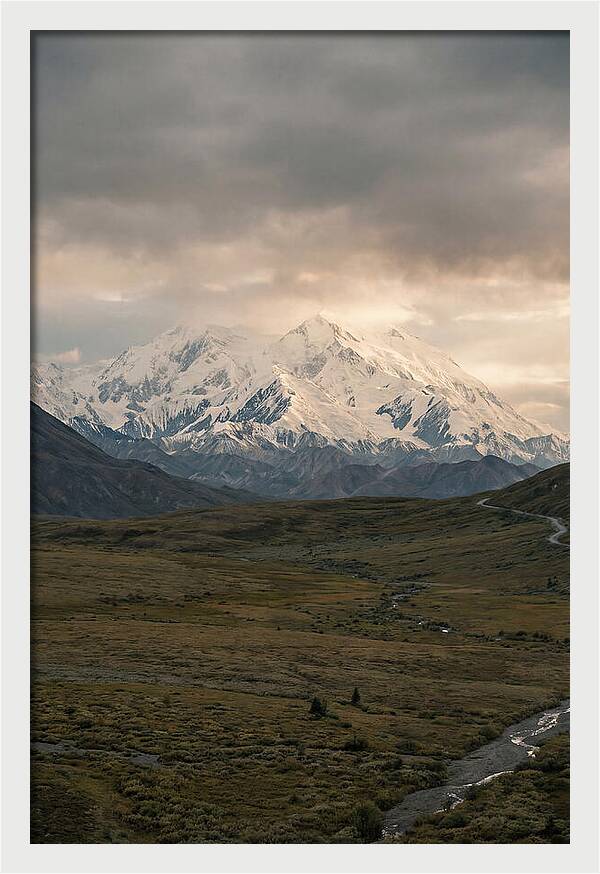 Denali Rising Above Tundra