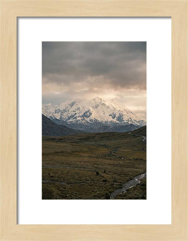 Denali Rising Above Tundra