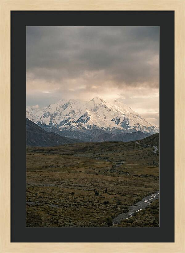 Denali Rising Above Tundra