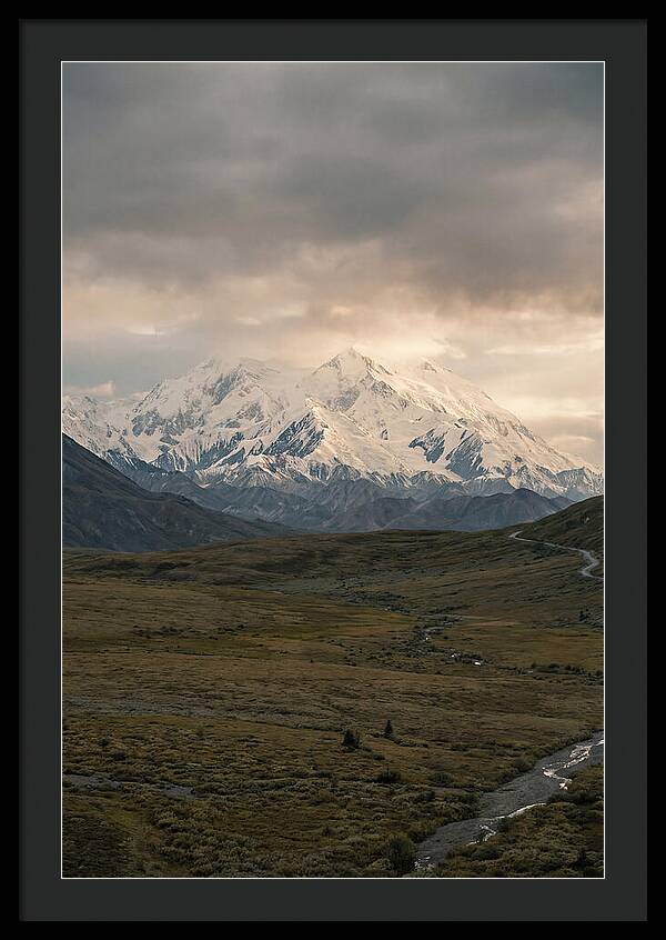 Denali Rising Above Tundra