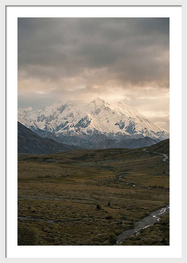 Denali Rising Above Tundra