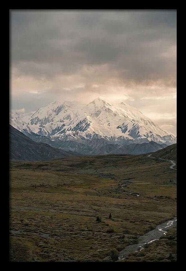 Denali Rising Above Tundra