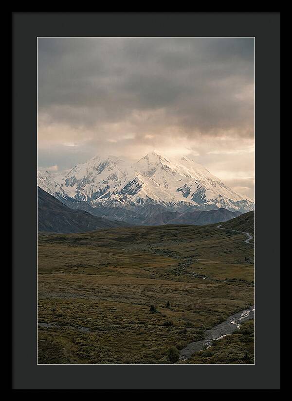 Denali Rising Above Tundra