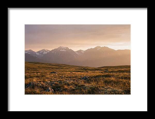 Denali Tundra Expanse At Dusk
