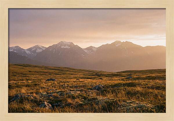 Denali Tundra Expanse At Dusk