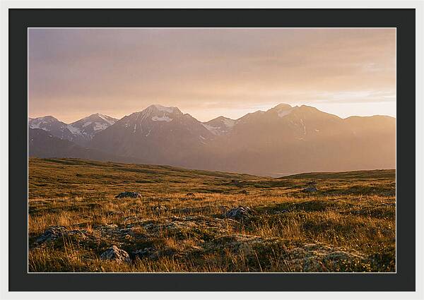 Denali Tundra Expanse At Dusk