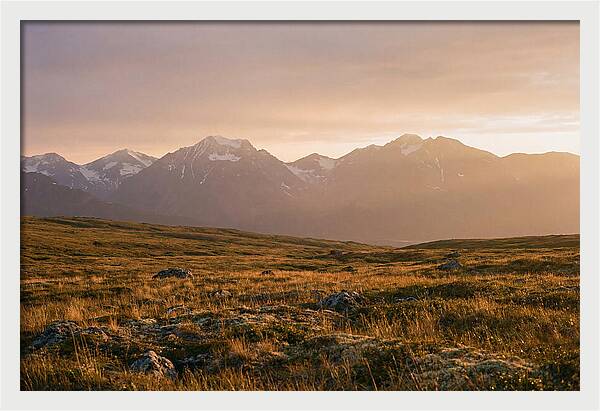 Denali Tundra Expanse At Dusk
