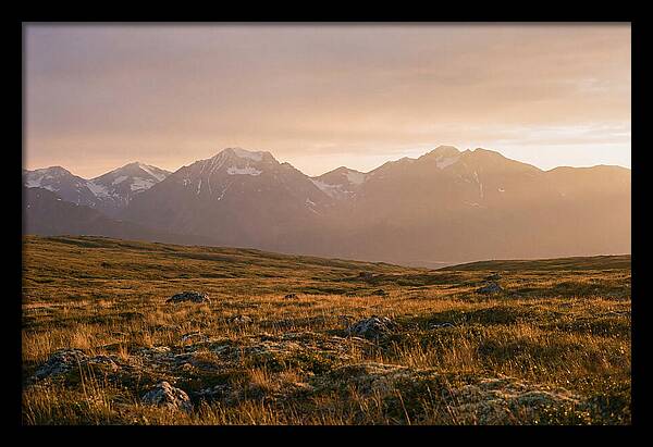 Denali Tundra Expanse At Dusk