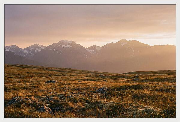 Denali Tundra Expanse At Dusk
