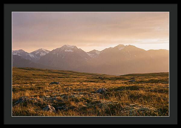 Denali Tundra Expanse At Dusk