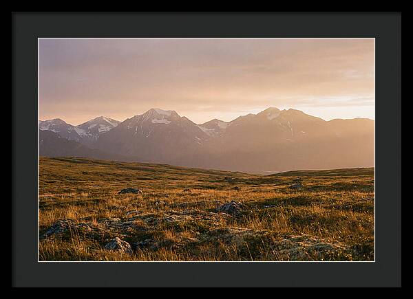 Denali Tundra Expanse At Dusk