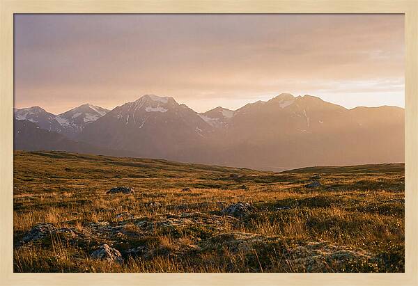 Denali Tundra Expanse At Dusk