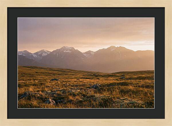 Denali Tundra Expanse At Dusk