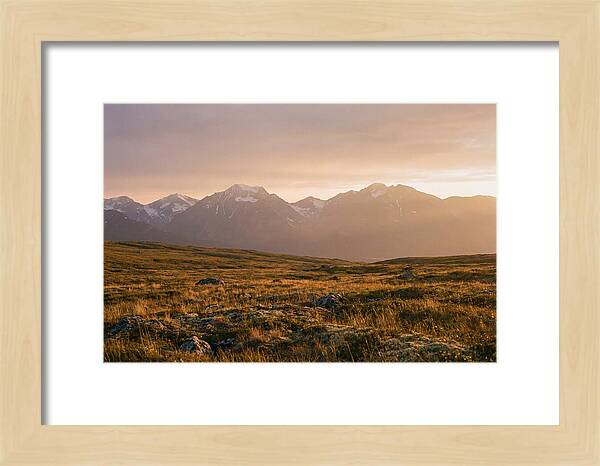 Denali Tundra Expanse At Dusk