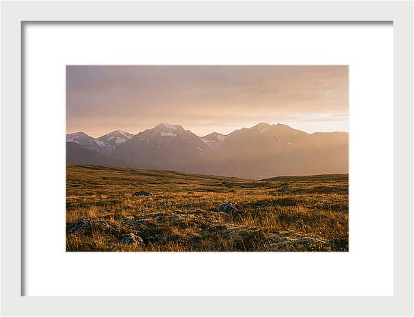 Denali Tundra Expanse At Dusk
