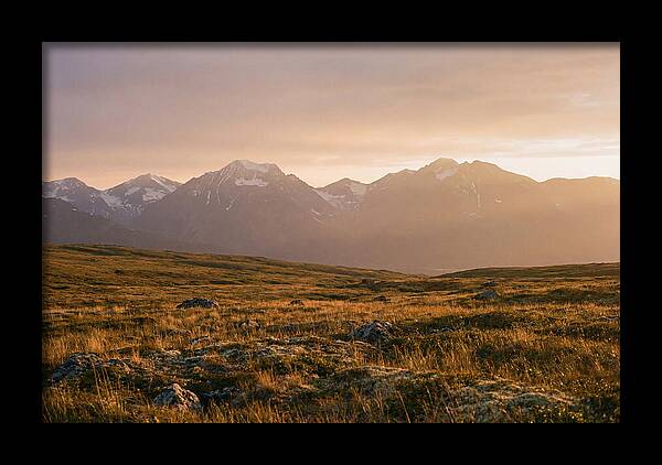 Denali Tundra Expanse At Dusk
