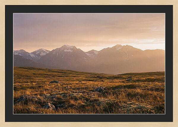 Denali Tundra Expanse At Dusk