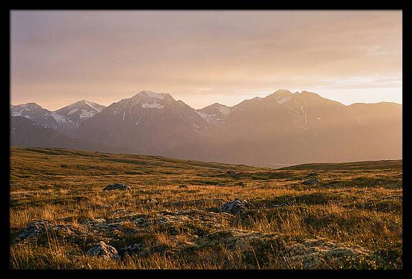 Denali Tundra Expanse At Dusk