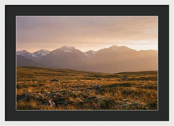 Denali Tundra Expanse At Dusk